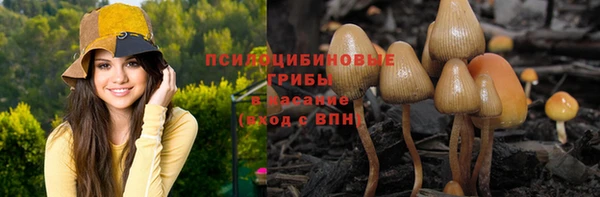марки nbome Каменка