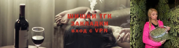 индика Каменск-Шахтинский