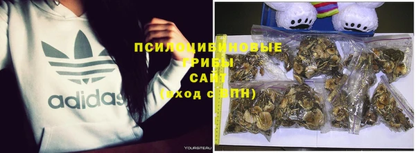 марки nbome Каменка